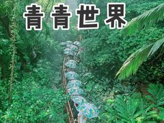 -青青世界