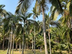 -中国科学院西双版纳热带植物园