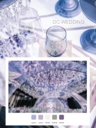 -DC大蔡婚礼策划(李公堤店)