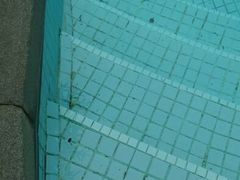 android_upload_pic-宁波九龙湖开元度假村