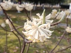 -白塘生态植物园