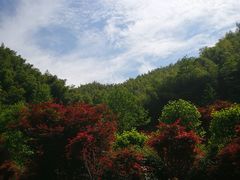-四明山国家森林公园