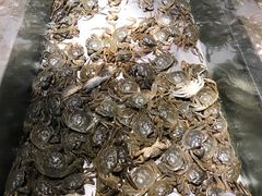 -欢乐牧场海鲜烤肉自助(牡丹园店)