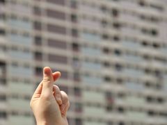 -彩虹村
