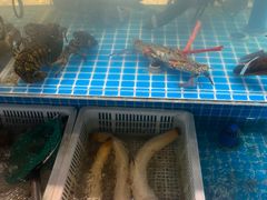 -田园居·佳宴(桑田路店)