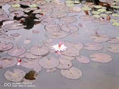 -那考河湿地公园