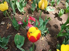 -长春公园(普阳街道)