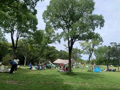 -上海吴淞炮台湾国家湿地公园