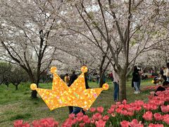 -苏州上方山国家森林公园