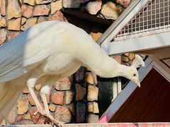 -金庭庄园酒店-停车场