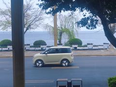 -野菌皇海景野生菌火锅(滨海大道店)