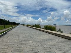 -芒洲湿地公园