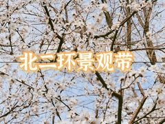 -雍和宫
