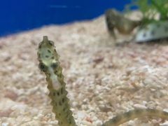 -厦门海底世界