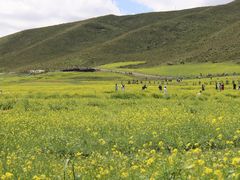 -扁都口生态休闲旅游区