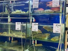 -阿静美食