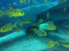 景点-福州罗源湾海洋世界旅游区