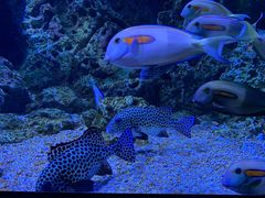 -成都浩海立方海洋公园