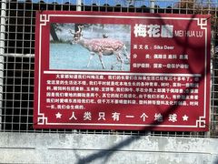 -水绘园