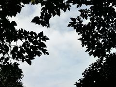 -长广溪湿地公园