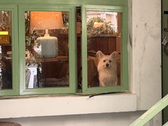 -绿房子方寸咖啡(星海名城店)