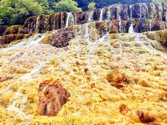 -黄龙山原始森林景区