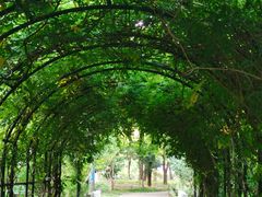 -上海交通大学(闵行校区)