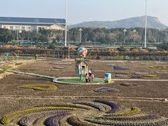 -苏州太湖西山岛开心农场