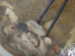 -蘑统田下·野生菌火锅