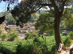 -杨家堂村