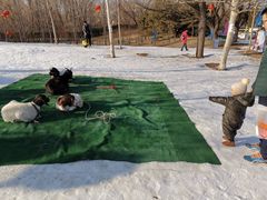 -北京亚布洛尼朝阳公园滑雪场