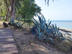 -三亚西岛海洋文化旅游区