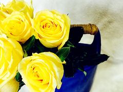 iphone_upload_pic-杭州街角花屋花店(闻堰店)
