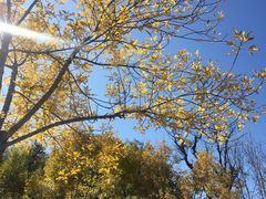 -中国科学院大学雁栖湖校区国际会议中心