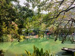 -云溪植物园
