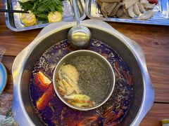 -金鼎雪山牦牛杂火锅(理县总店)