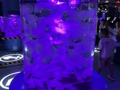 -重庆欢乐海底世界