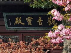 -灵隐飞来峰景区