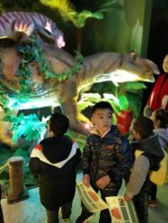 -恐龙探索乐园(磁器口店)