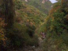 -龙道沟景区