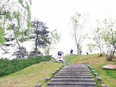 -莫子山公园