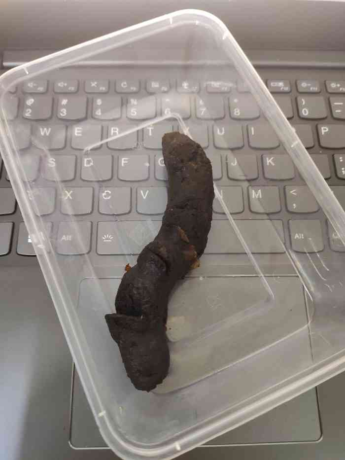 "-大众点评移动版