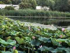 -哈尔滨大剧院