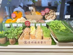 -京彩臻品火锅