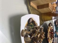 -鲁前海沿儿