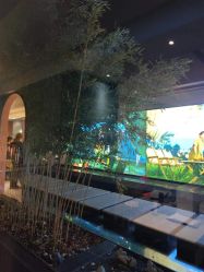 -爱儿美儿童摄影(朝阳公园店)