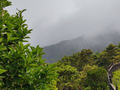 -梧桐山风景名胜区