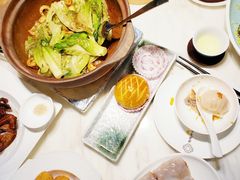 啫啫生菜煲-陶陶居·雅园(凯华国际店)