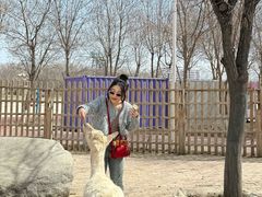 -水上乐园·欢乐世界