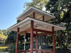 -黄埔荔枝公园
